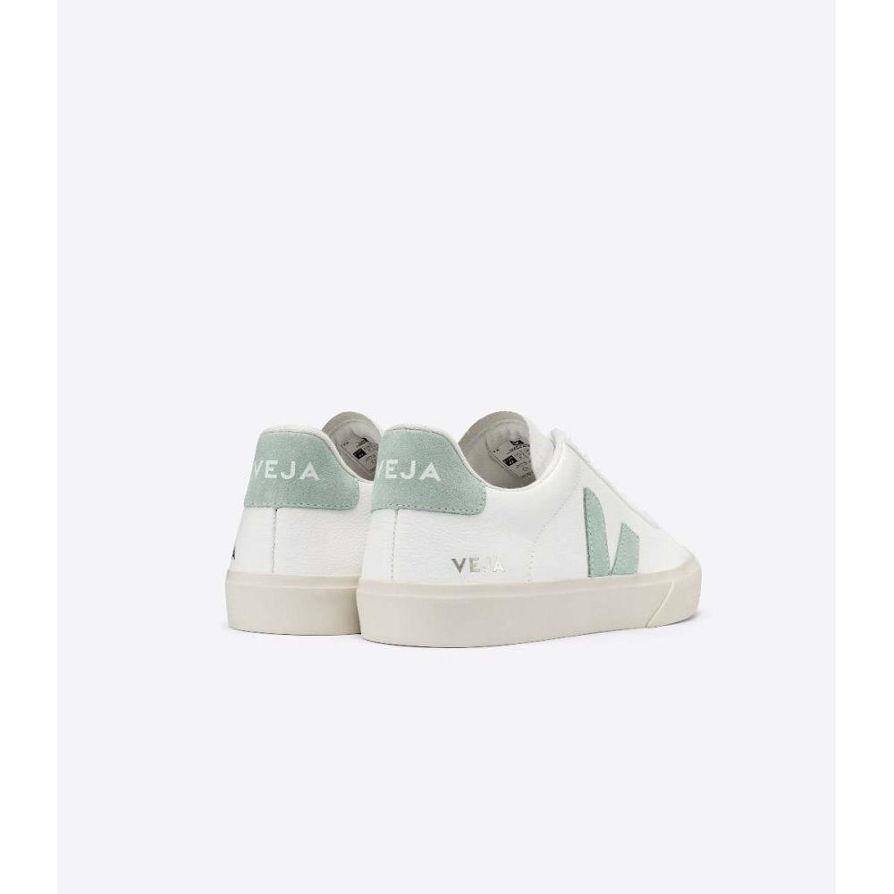 Low Tops Sneakers Veja CAMPO CHROMEFREE Hombre White/Green | MX 196NWY